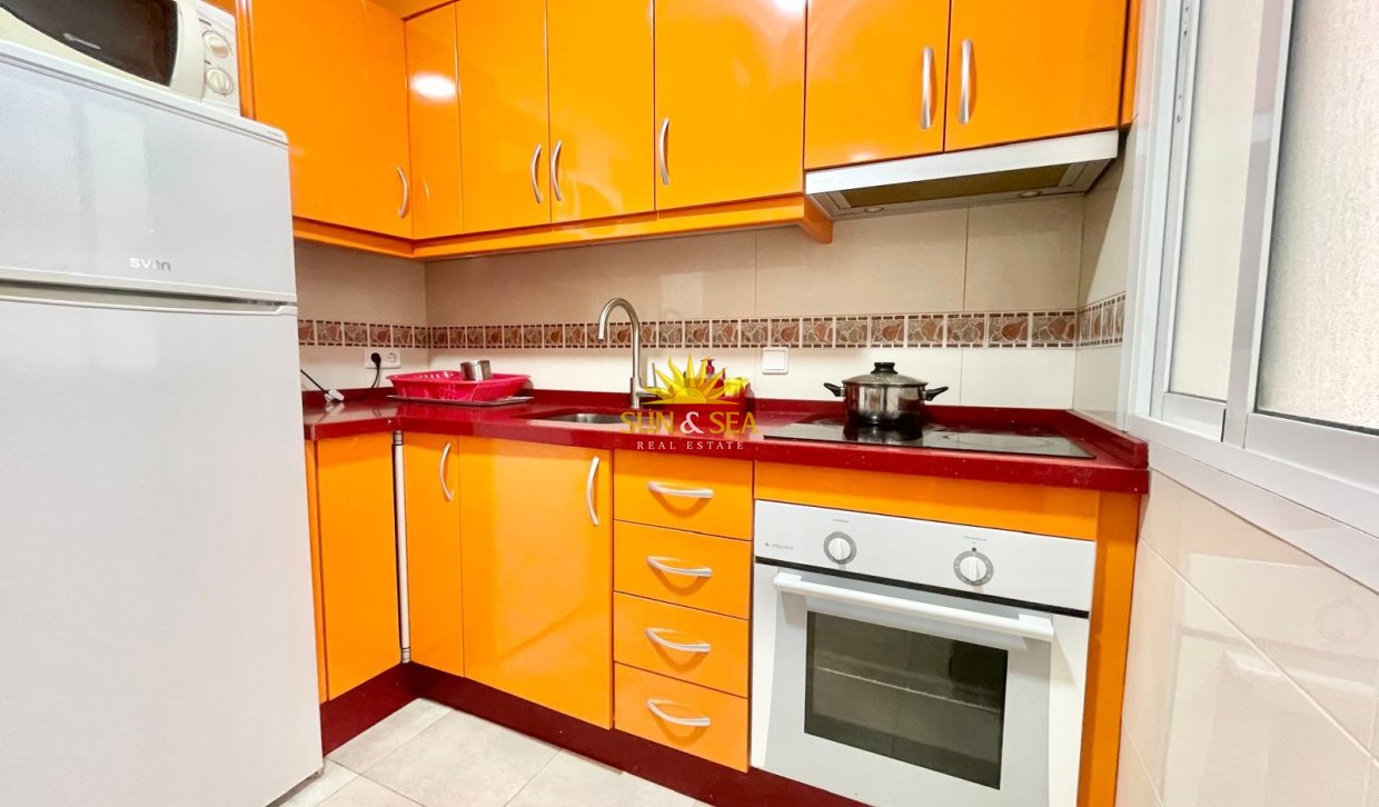 Alquiler de invierno - Apartamento - Torrevieja - torrevieja
