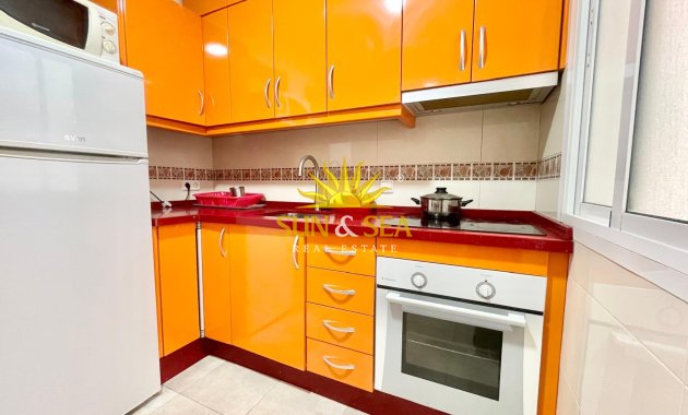 Alquiler de invierno - Apartamento - Torrevieja - torrevieja