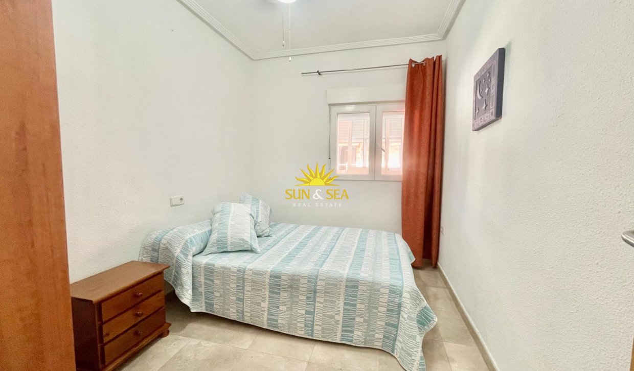 Alquiler de invierno - Apartamento - Torrevieja - torrevieja