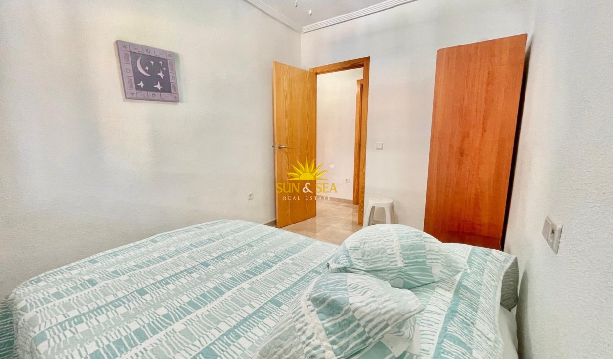 Alquiler de invierno - Apartamento - Torrevieja - torrevieja