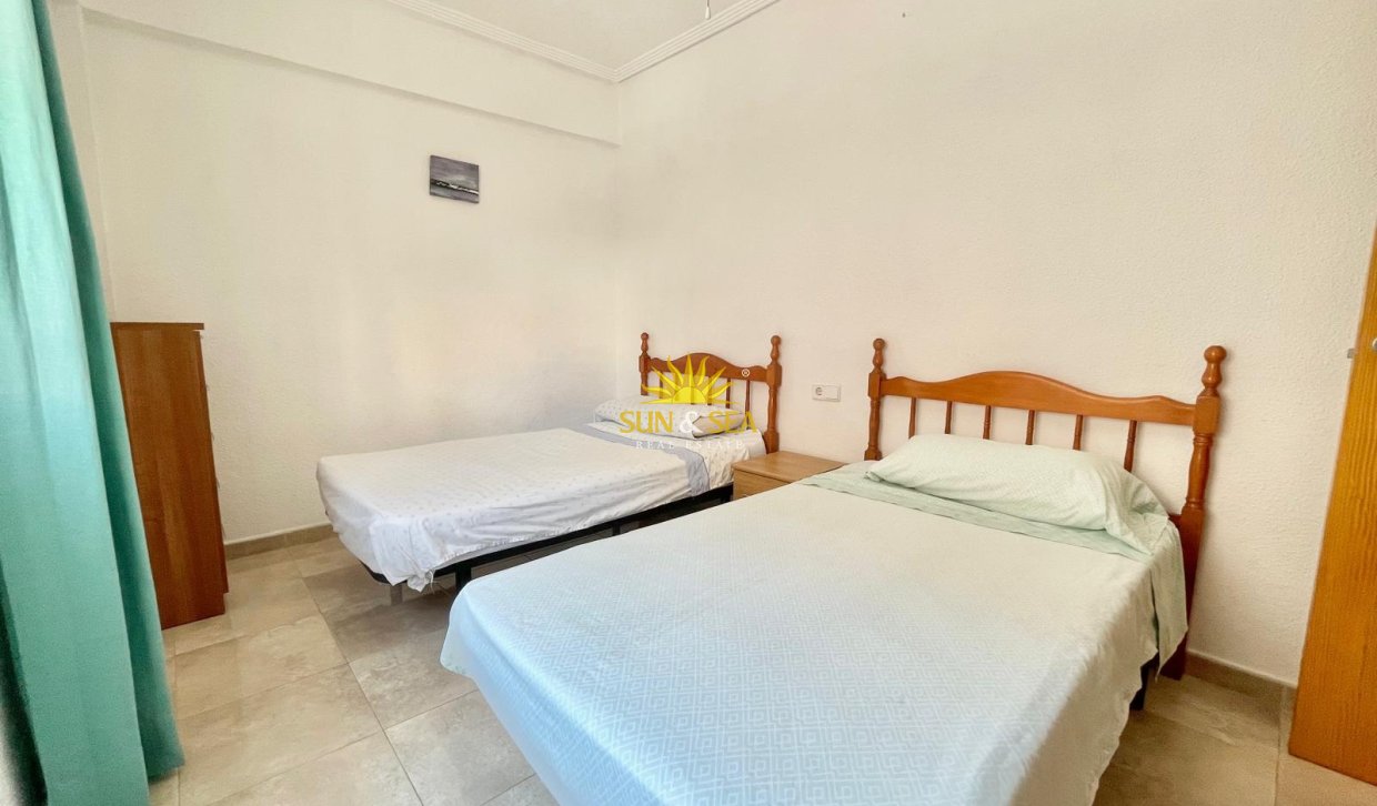 Alquiler de invierno - Apartamento - Torrevieja - torrevieja