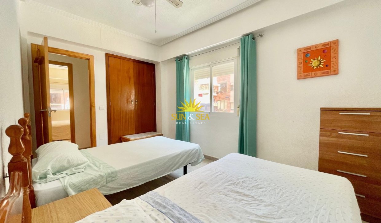 Alquiler de invierno - Apartamento - Torrevieja - torrevieja