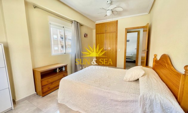 Alquiler de invierno - Apartamento - Torrevieja - torrevieja