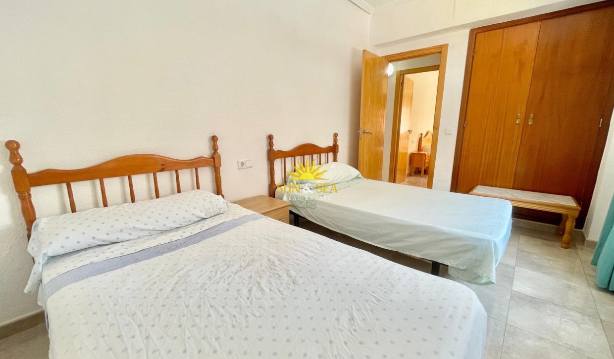 Alquiler de invierno - Apartamento - Torrevieja - torrevieja