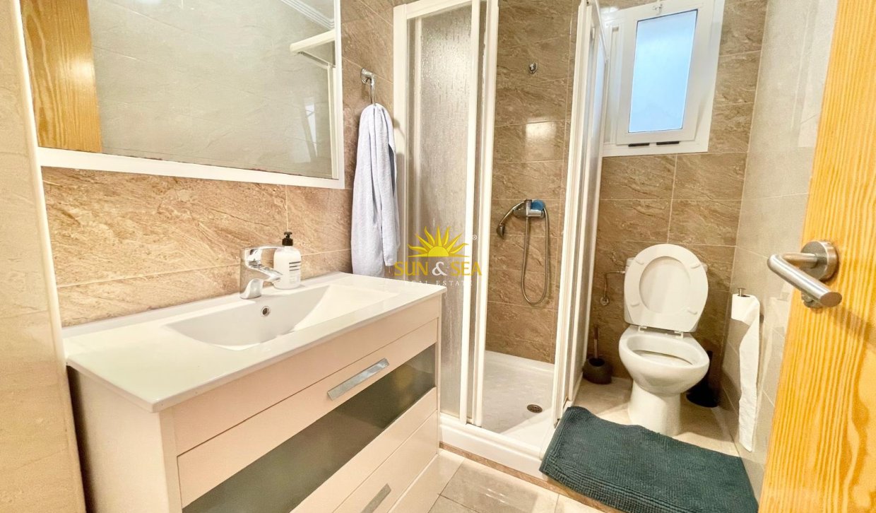 Alquiler de invierno - Apartamento - Torrevieja - torrevieja