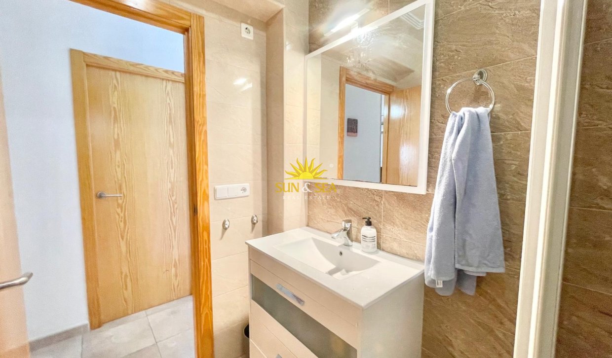 Alquiler de invierno - Apartamento - Torrevieja - torrevieja