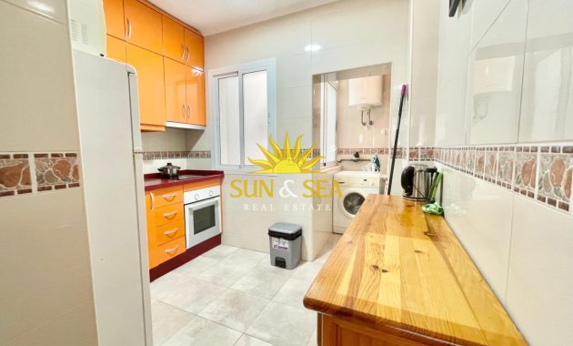 Alquiler de invierno - Apartamento - Torrevieja - torrevieja