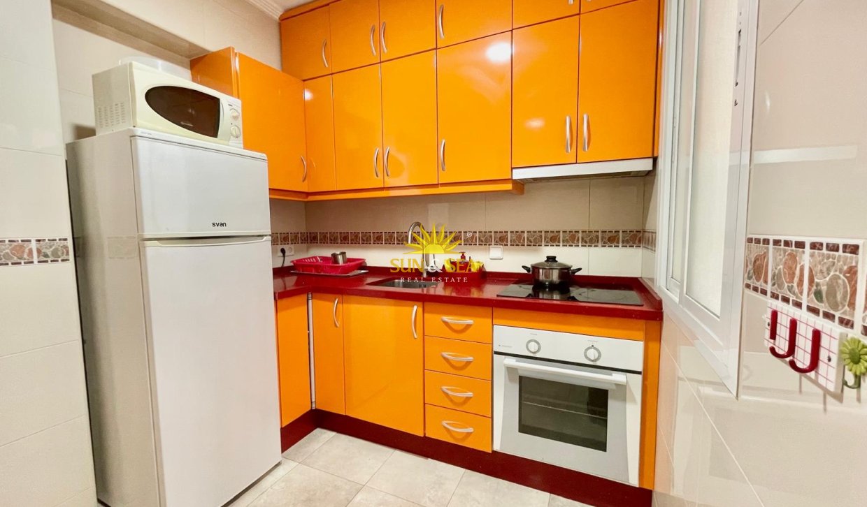Alquiler de invierno - Apartamento - Torrevieja - torrevieja
