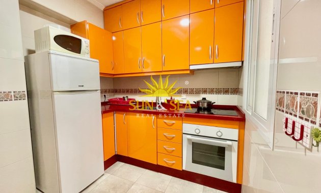 Alquiler de invierno - Apartamento - Torrevieja - torrevieja