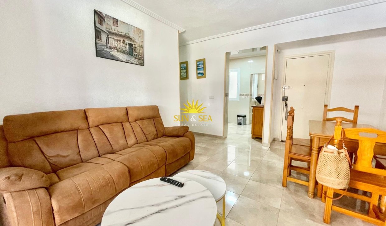 Alquiler de invierno - Apartamento - Torrevieja - torrevieja