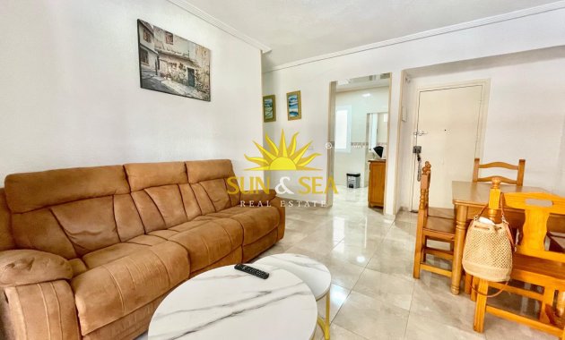 Alquiler de invierno - Apartamento - Torrevieja - torrevieja