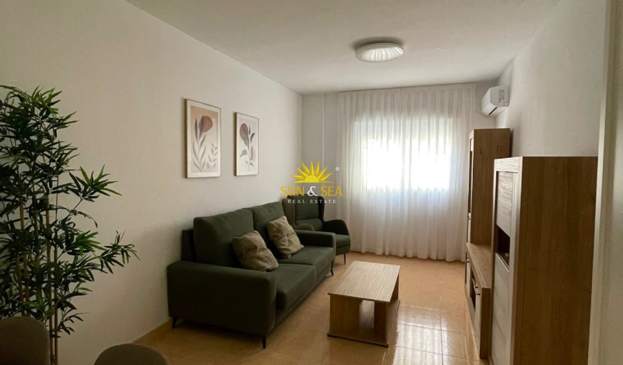 Location à long terme - Appartement - Almoradí