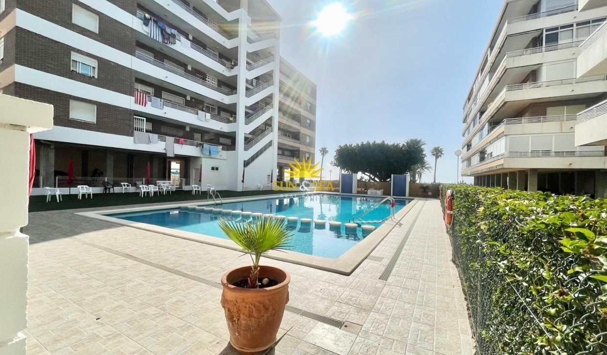 Location à long terme - Appartement - Torrevieja - La veleta
