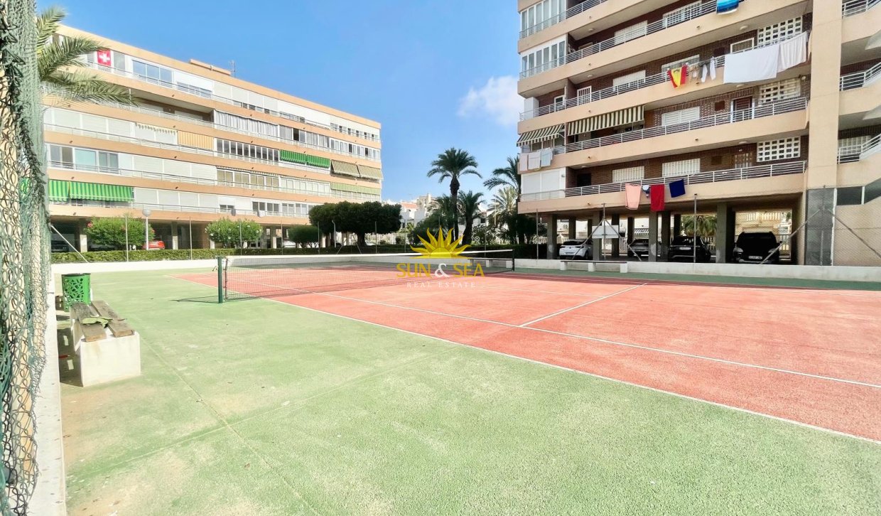 Location à long terme - Appartement - Torrevieja - La veleta