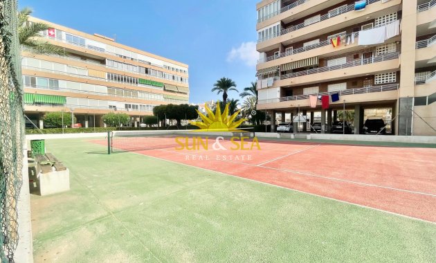 Location à long terme - Appartement - Torrevieja - La veleta