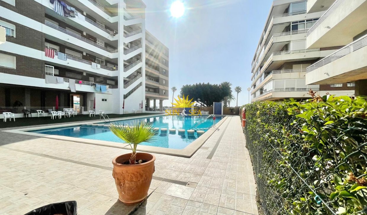 Location à long terme - Appartement - Torrevieja - La veleta