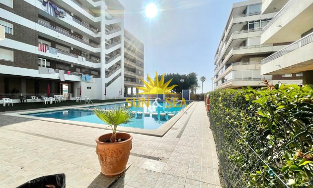 Location à long terme - Appartement - Torrevieja - La veleta
