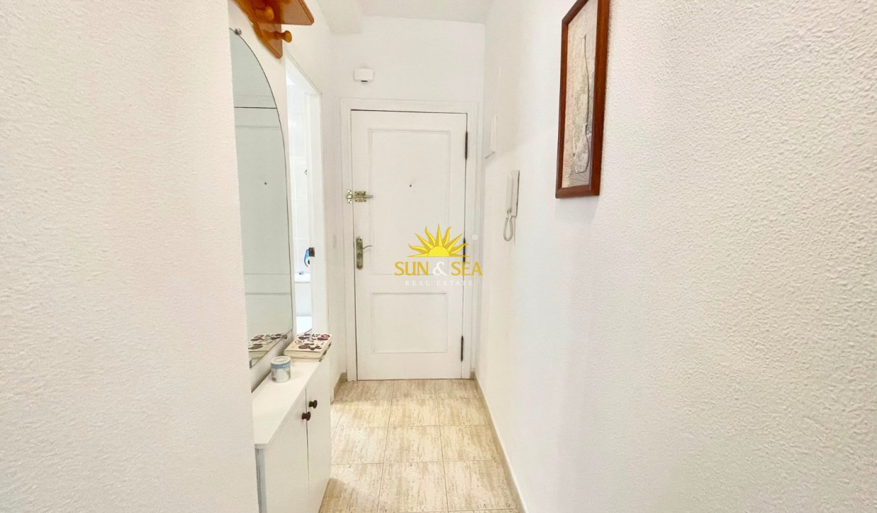 Location d’hiver - Appartement - Torrevieja - Curva del Palangre