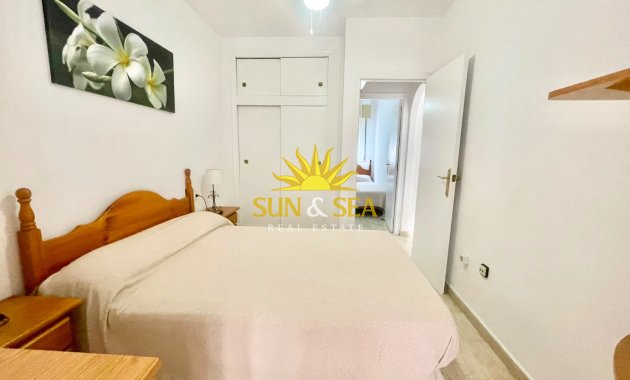 Location d’hiver - Appartement - Torrevieja - Curva del Palangre