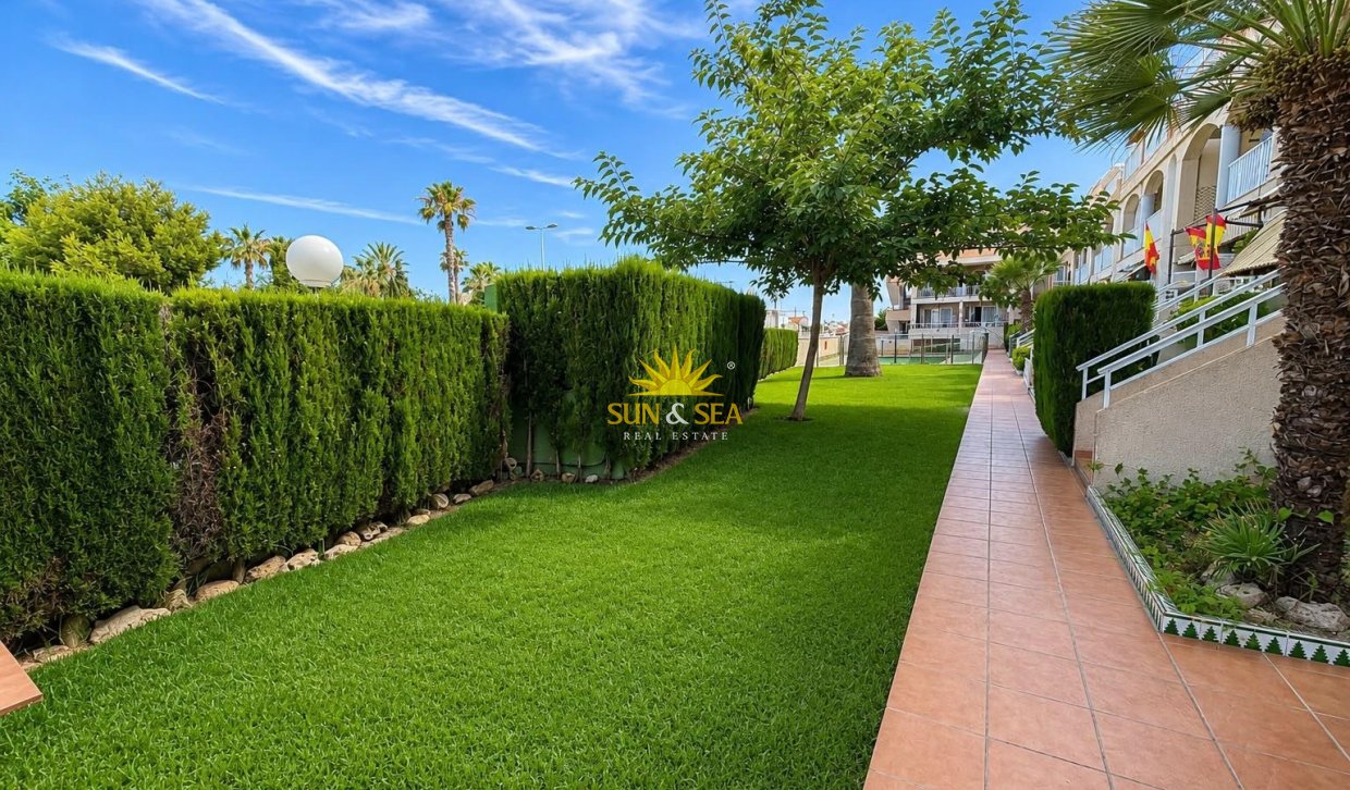 Kurzzeit-Vermietung - Wohnung - Torrevieja - torrevieja