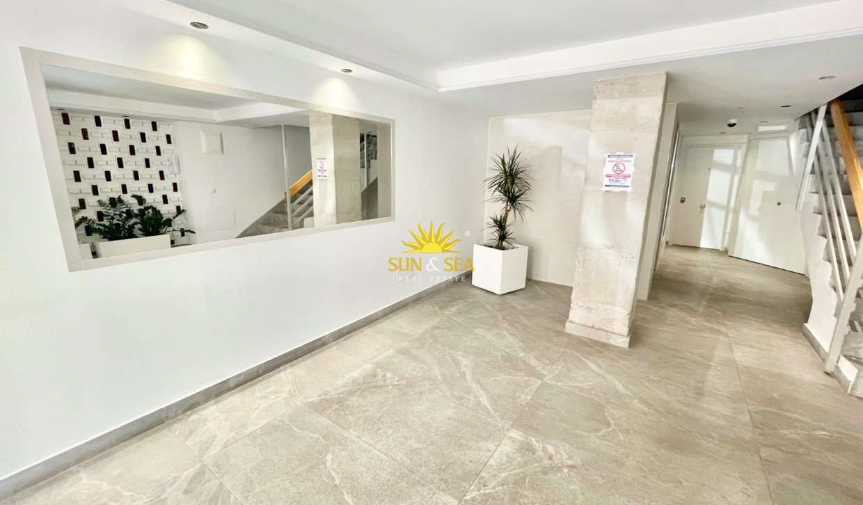 Langfristige Vermietung - Wohnung - Murcia