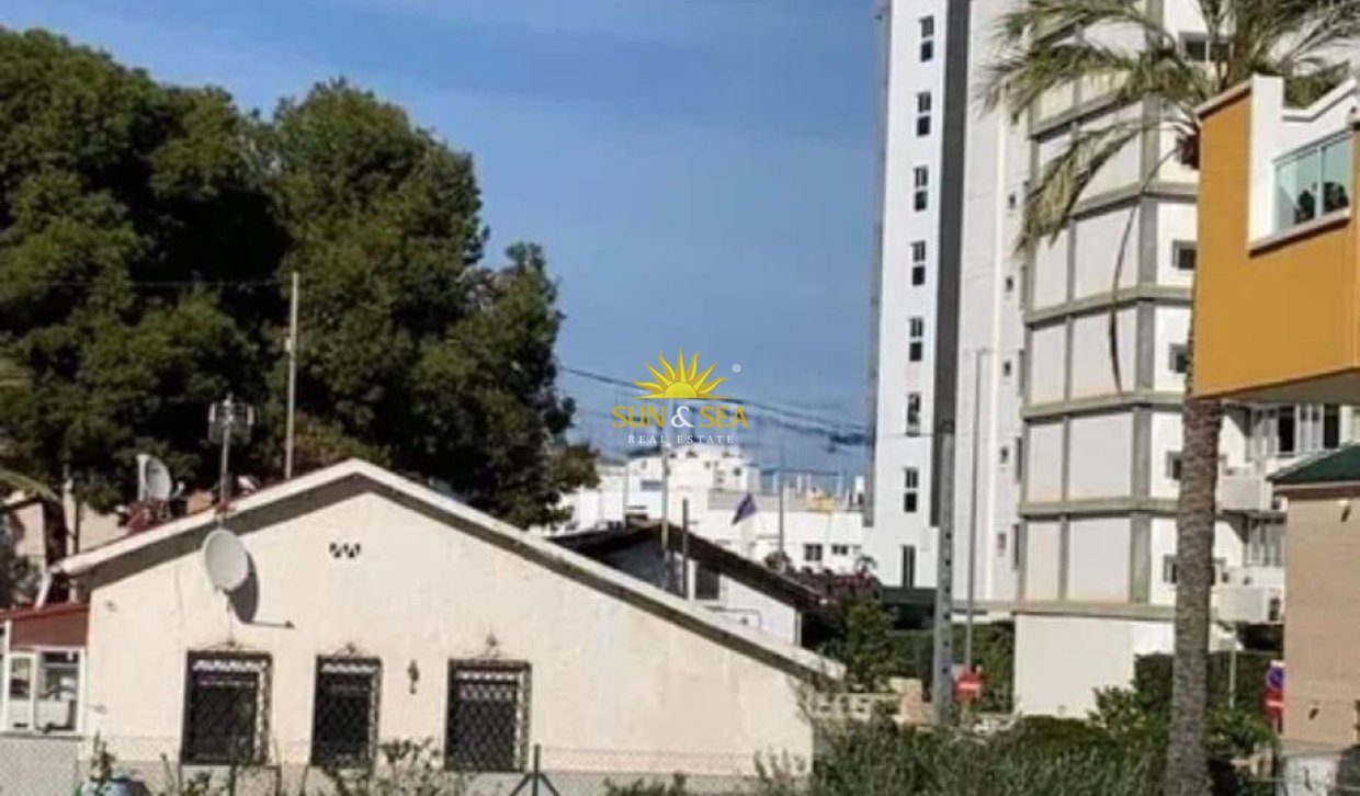 Alquiler de invierno - Apartamento - El Campello - Campello