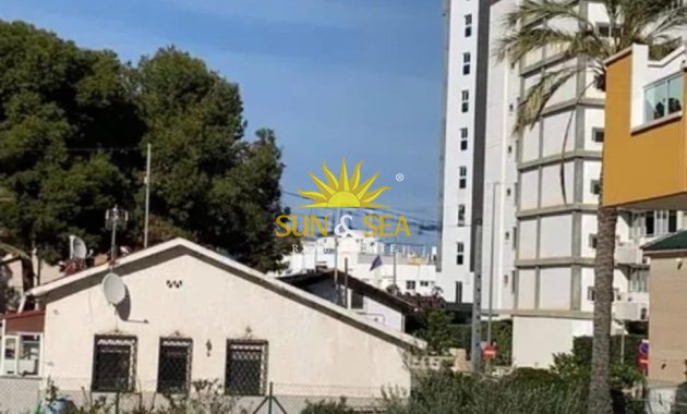 Alquiler de invierno - Apartamento - El Campello - Campello