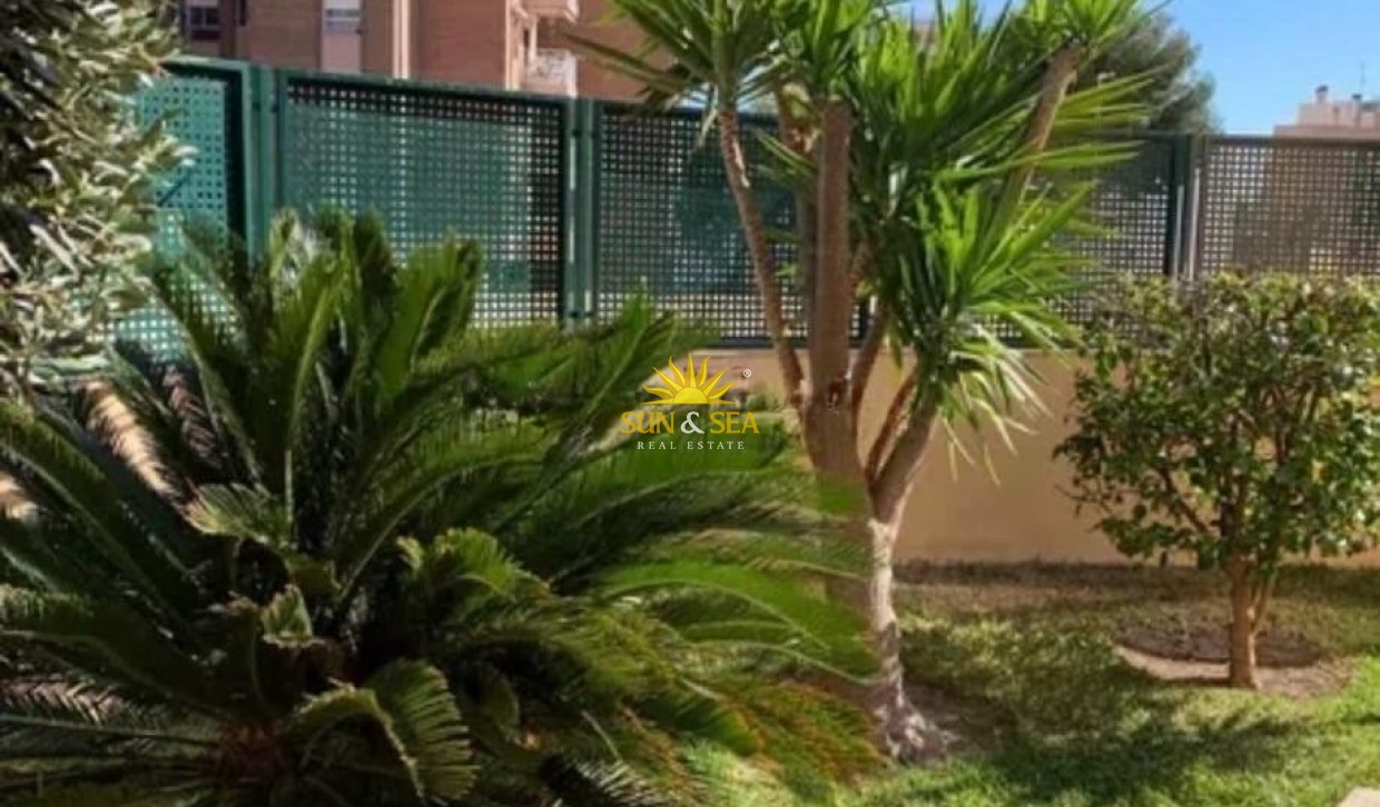 Alquiler de invierno - Apartamento - El Campello - Campello