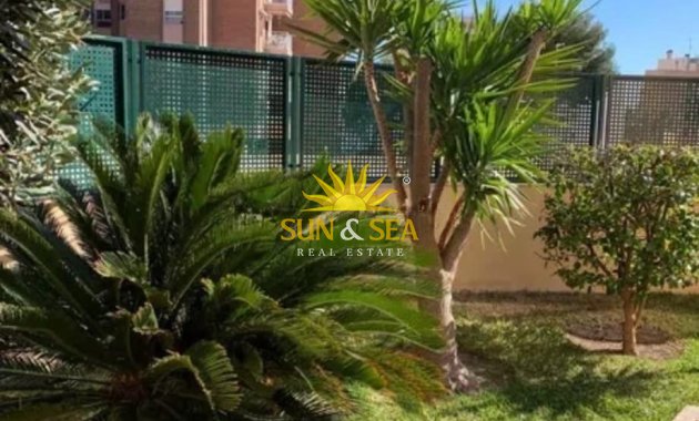 Alquiler de invierno - Apartamento - El Campello - Campello