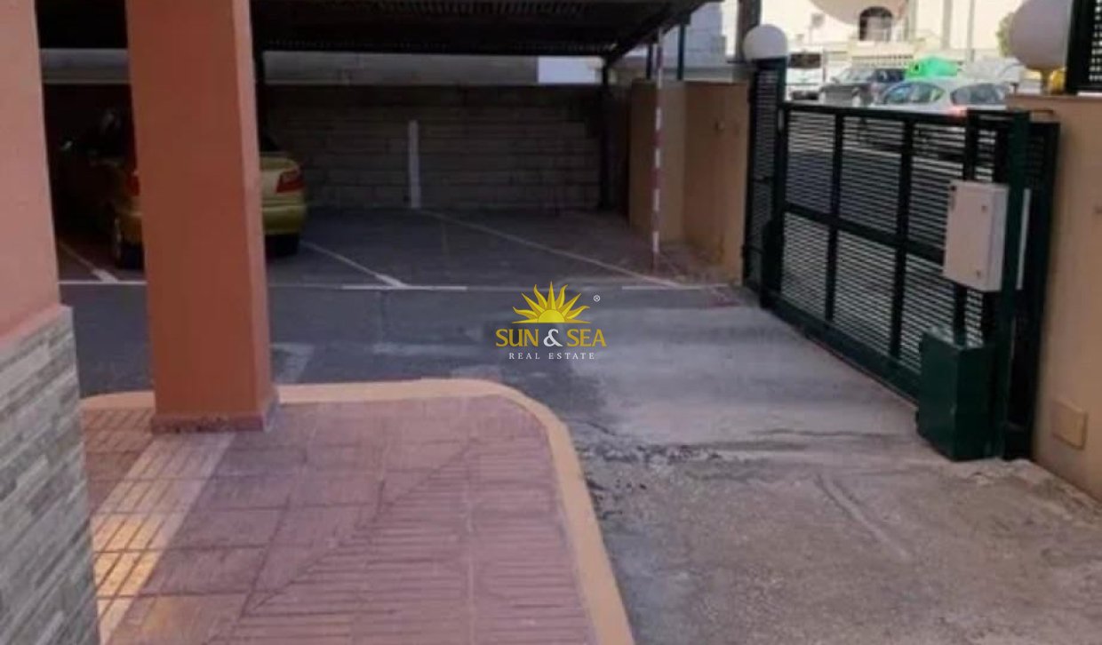Alquiler de invierno - Apartamento - El Campello - Campello