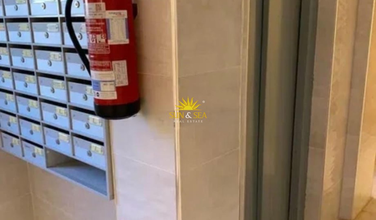 Alquiler de invierno - Apartamento - El Campello - Campello