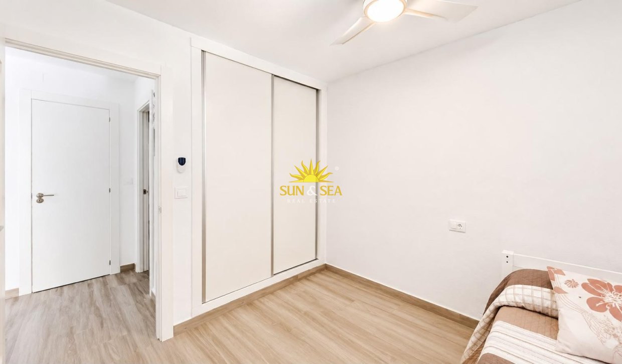 Alquiler de invierno - Apartamento - Torrevieja - torrevieja