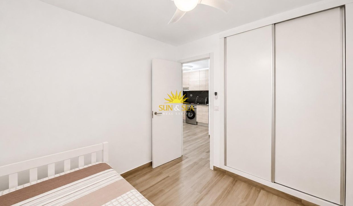 Alquiler de invierno - Apartamento - Torrevieja - torrevieja