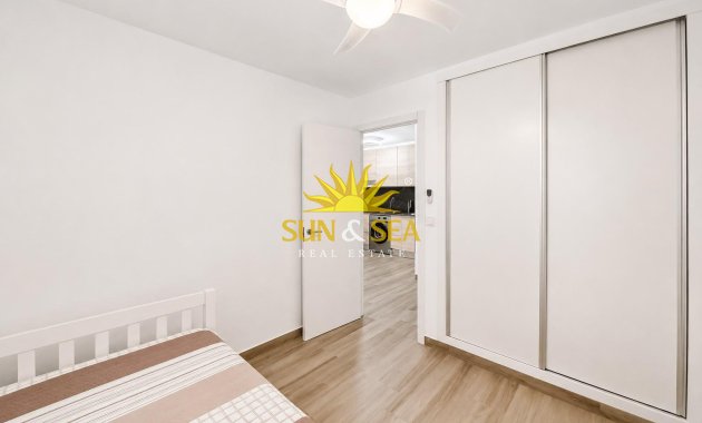 Alquiler de invierno - Apartamento - Torrevieja - torrevieja