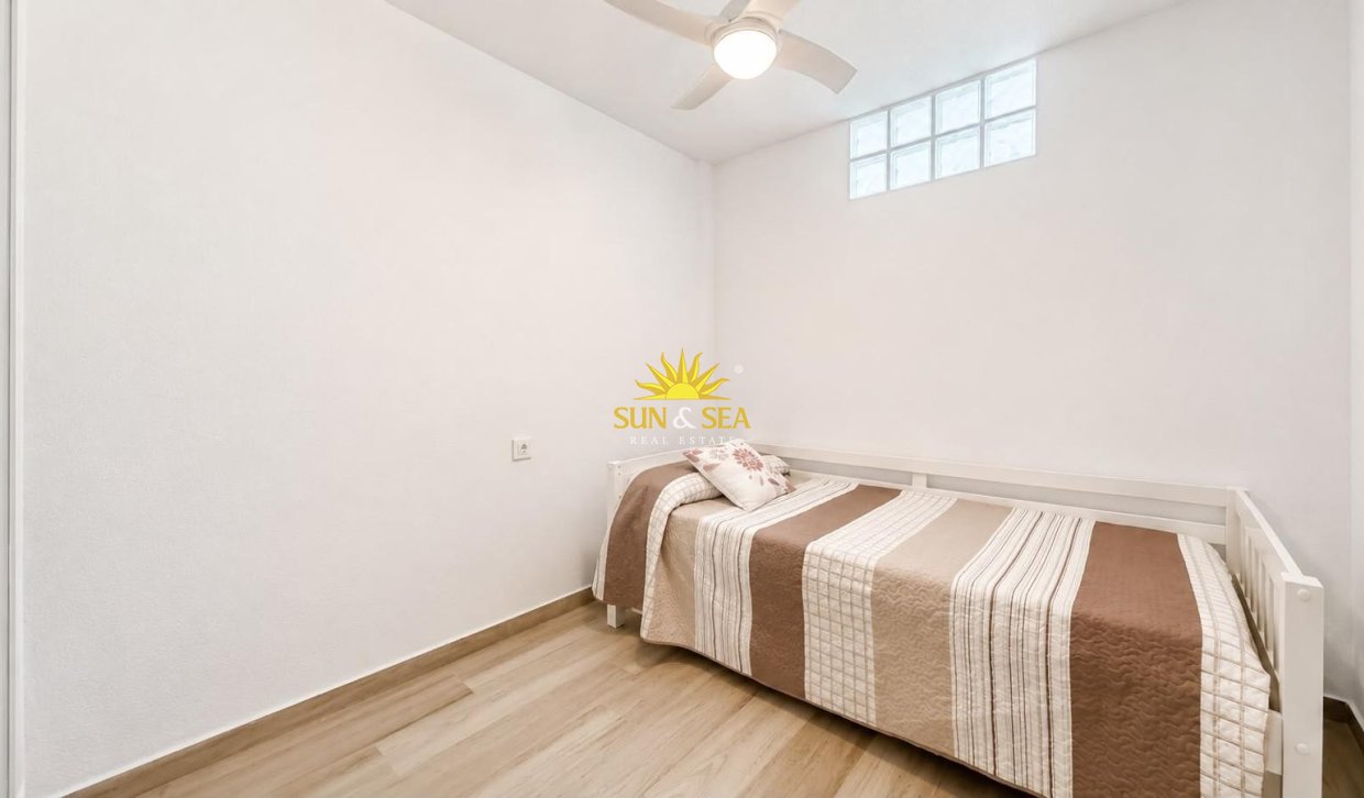 Alquiler de invierno - Apartamento - Torrevieja - torrevieja