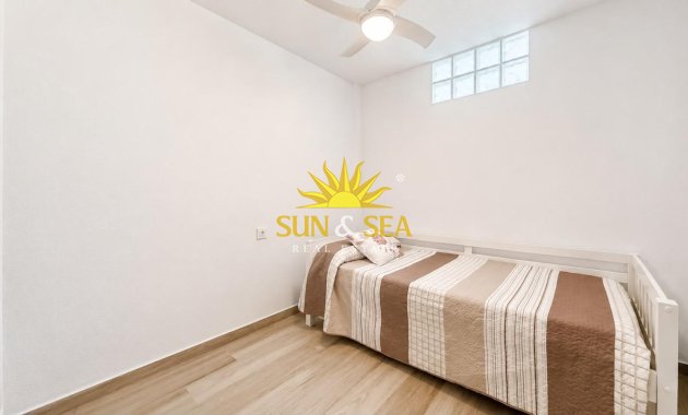 Alquiler de invierno - Apartamento - Torrevieja - torrevieja