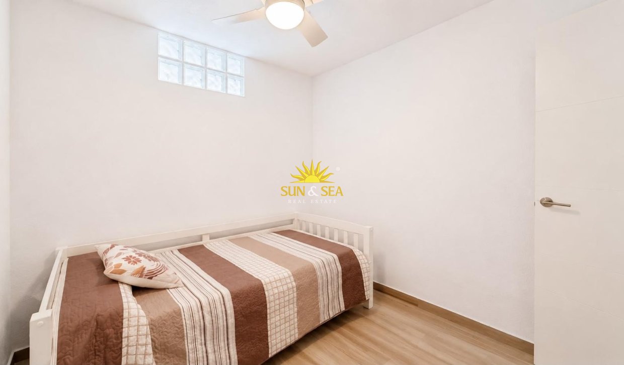 Alquiler de invierno - Apartamento - Torrevieja - torrevieja