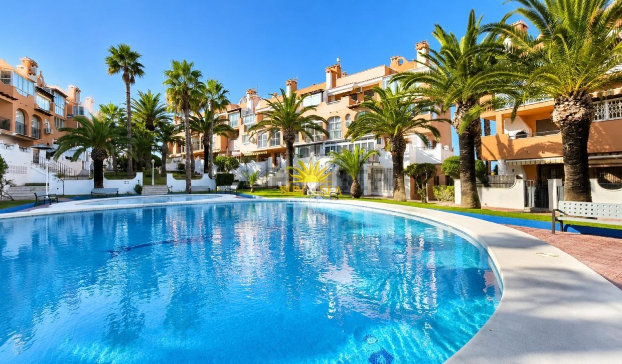 Alquiler de invierno - Apartamento - Torrevieja - torrevieja