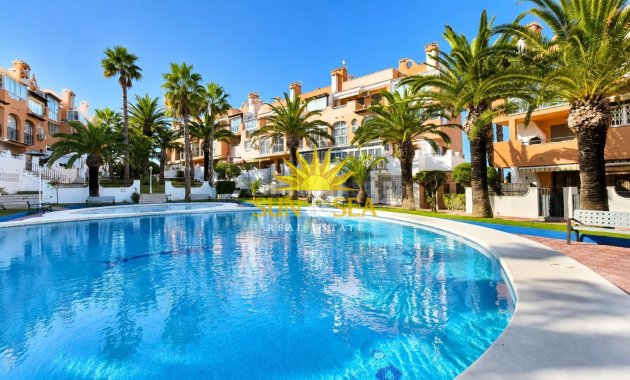 Alquiler de invierno - Apartamento - Torrevieja - torrevieja
