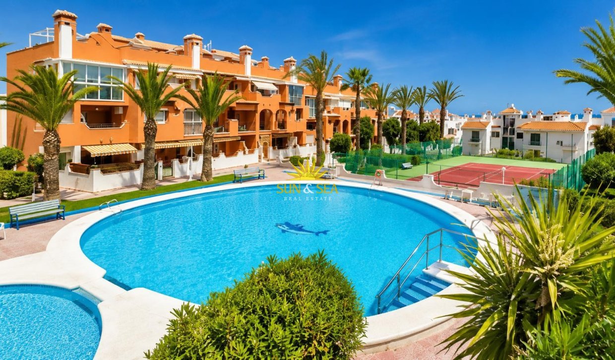 Alquiler de invierno - Apartamento - Torrevieja - torrevieja
