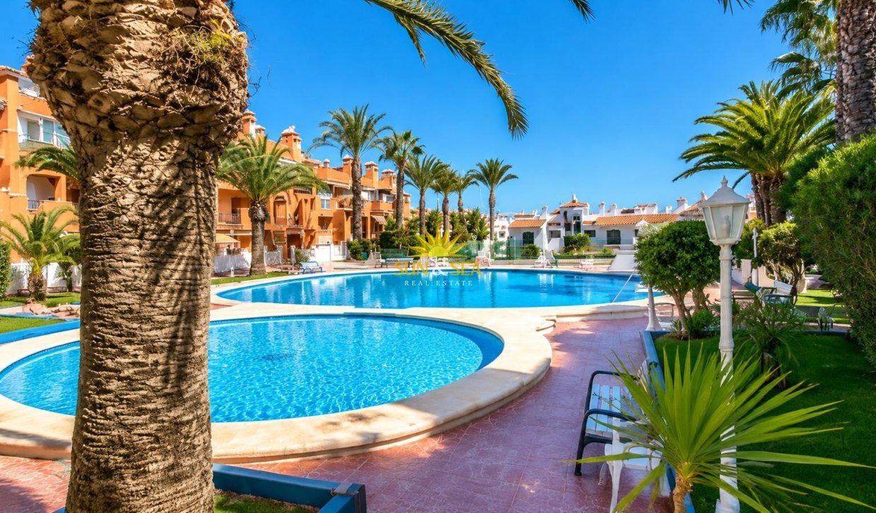 Alquiler de invierno - Apartamento - Torrevieja - torrevieja