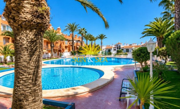 Alquiler de invierno - Apartamento - Torrevieja - torrevieja