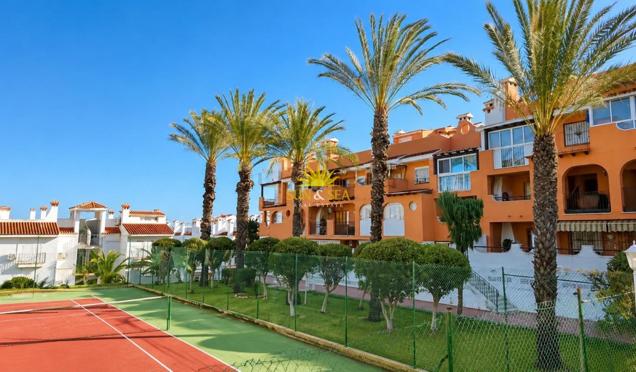 Alquiler de invierno - Apartamento - Torrevieja - torrevieja