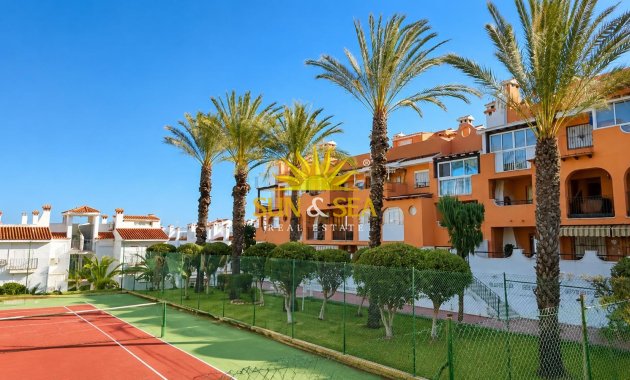 Alquiler de invierno - Apartamento - Torrevieja - torrevieja