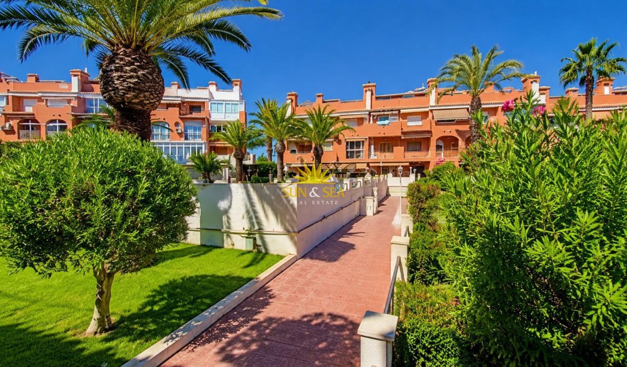 Alquiler de invierno - Apartamento - Torrevieja - torrevieja