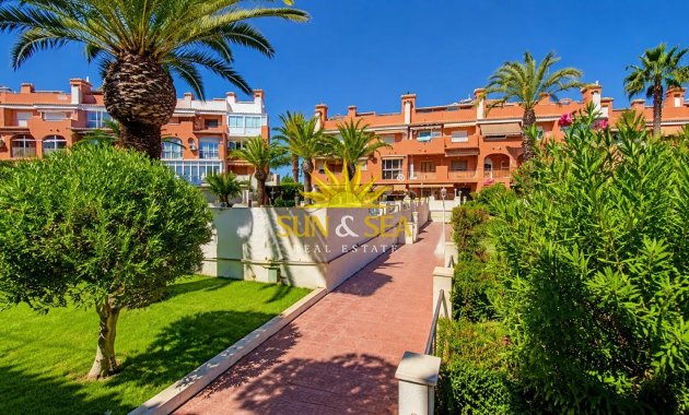 Alquiler de invierno - Apartamento - Torrevieja - torrevieja