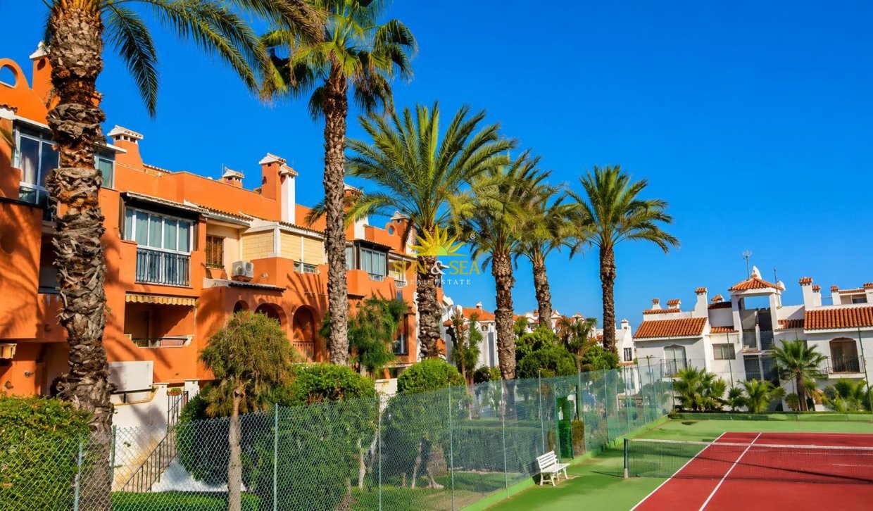 Alquiler de invierno - Apartamento - Torrevieja - torrevieja