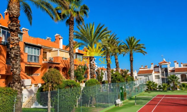Alquiler de invierno - Apartamento - Torrevieja - torrevieja