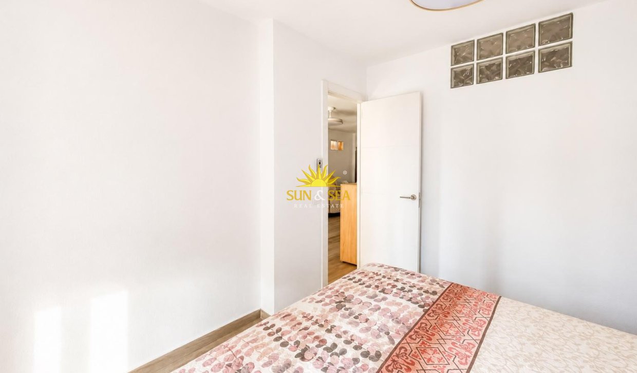 Alquiler de invierno - Apartamento - Torrevieja - torrevieja