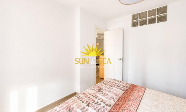 Alquiler de invierno - Apartamento - Torrevieja - torrevieja